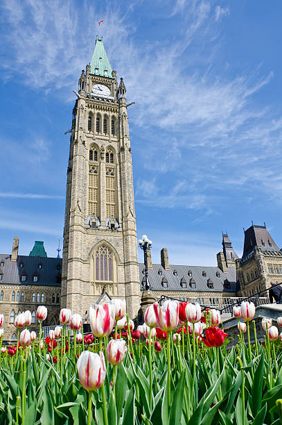 istock Ottawa Parliament Building and Tulips 177331400