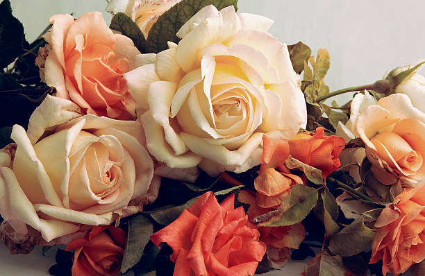 Beautiful Roses.Vintage styled