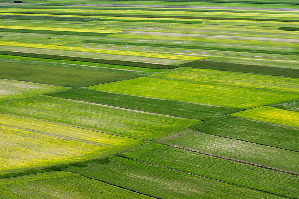 cultivated fields stock photo