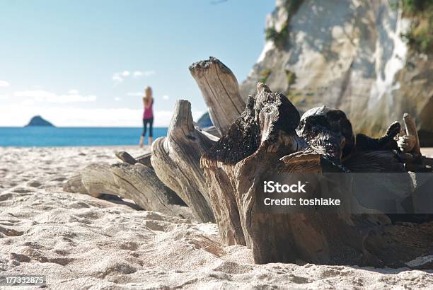 Summer Time Stock Photo - Download Image Now - Beach, Cathedral Cove - Waikato Region, Coromandel Peninsula