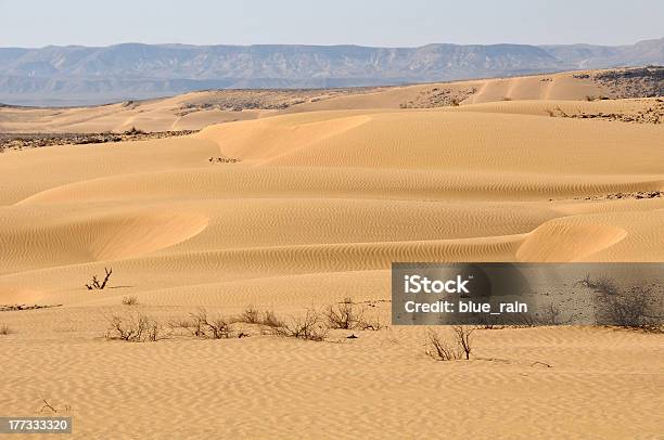 Deserto De Areia - Fotografias de stock e mais imagens de Cor Viva - Cor Viva, Deserto, Israel