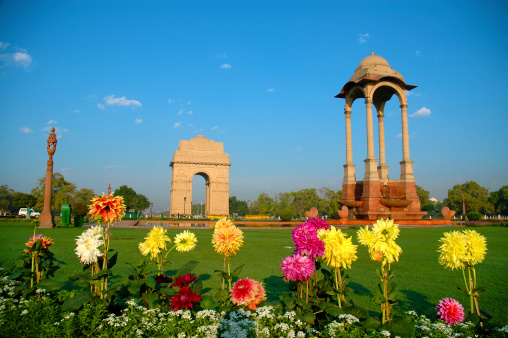Beautiful flowers in front of india gate during bright day with blue sky.