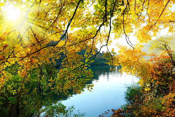 istock The magical colors of autumn 177334027