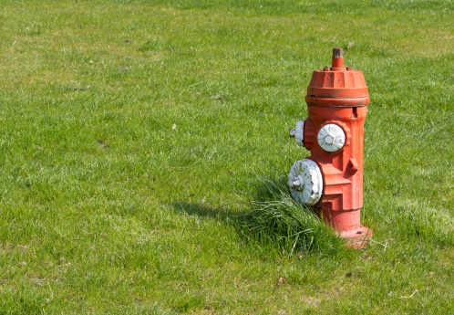 Fire Hydrant in Green Grass field