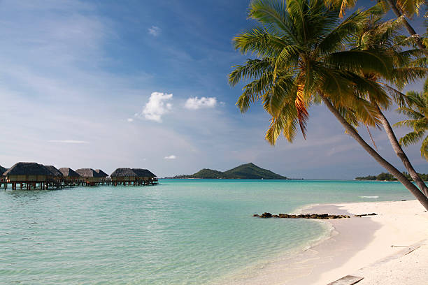 istock Beach and Lagoon, French Polynesian islands 177334330