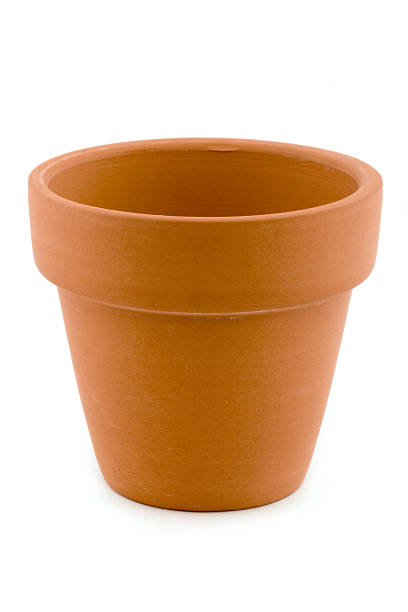 istock Single terracotta plant pot over white 177334517
