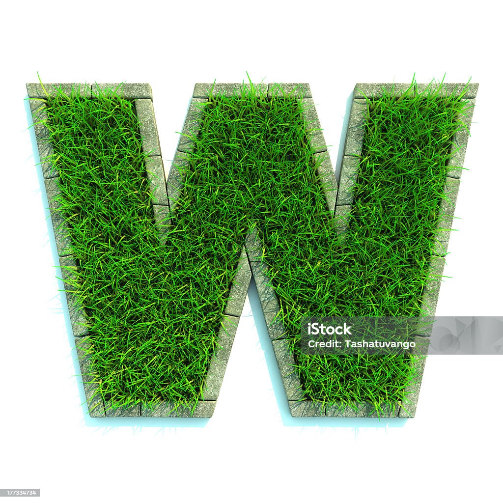 Beautiful Spring Letters Beautiful Spring Letters and Numbers Made of Grass and Surrounded with  Border Alphabet Stock Photo