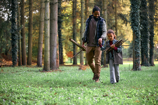 African American father and daughter collecting twigs while camping in nature. Copy space.