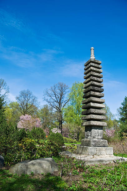 istock spring in japanese garden 177334835