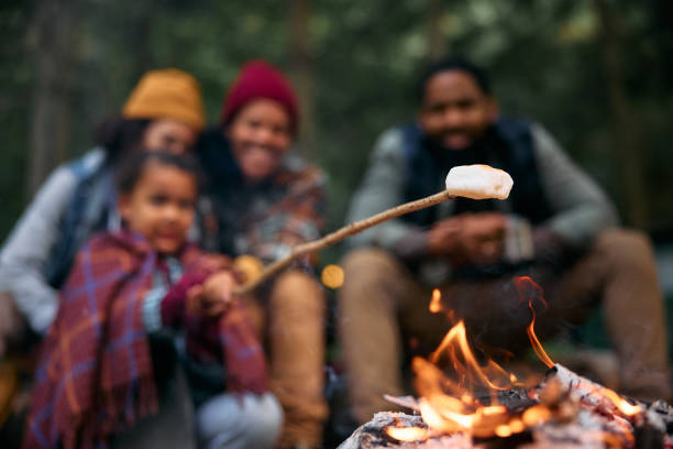 istock Close up of roasting marshmallows over a campfire! 1773349092