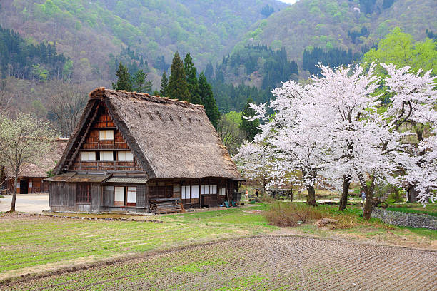 istock Shirakawa-go, Japan 177335287