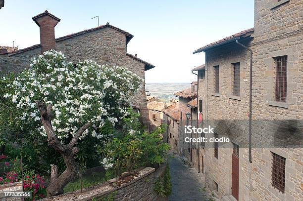 Photo libre de droit de Cortona banque d'images et plus d'images libres de droit de Arbre - Arbre, Architecture, Arezzo