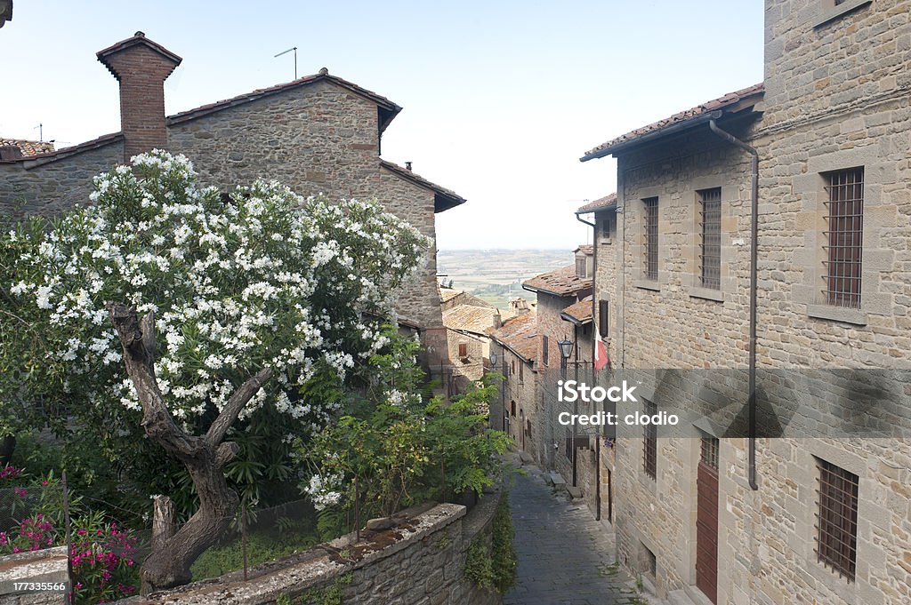 Cortona (Arezzo) - Foto stock royalty-free di Albero