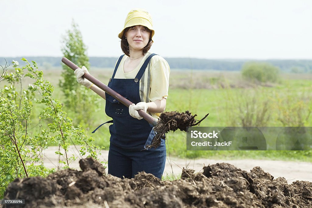 farmer distribuye estiércol en campo - Foto de stock de Excremento libre de derechos