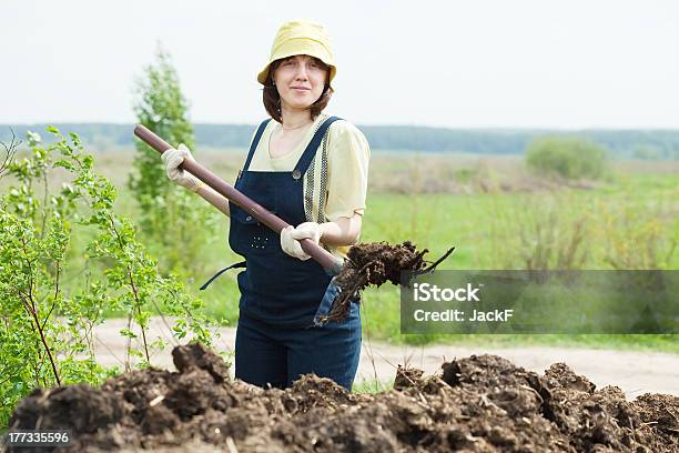 Farmer Distribuye Estiércol En Campo Foto de stock y más banco de imágenes de Excremento - Excremento, Agricultor, Excavar