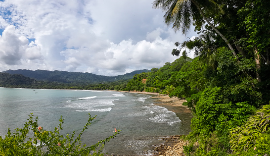 Coastal idyll, bay with tropical palm trees and golden sand in Costa Rica