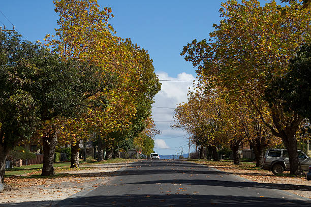 istock Autums scene in a country town 177335933