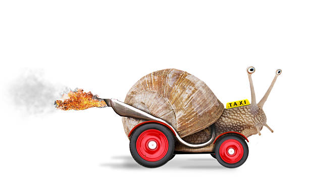 istock Speedy snail graphic with wheels and hot rod features 177336150