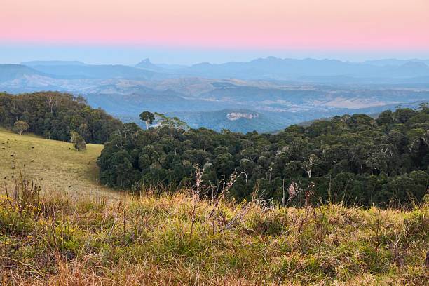 istock duck road border ranges australian background 177336366