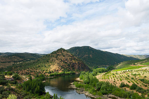 долина дуэро и река в пиренейский полуостров - douro valley clear sky copy space nobody стоковые фото и изображения