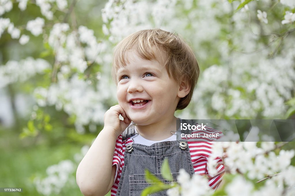 Happy toddler in spring Happy toddler at  blossoming garden in spring Baby - Human Age Stock Photo
