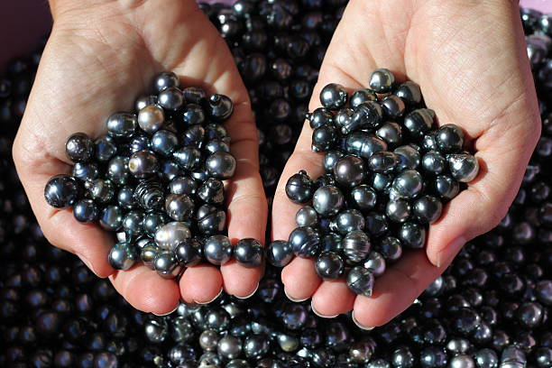 tesoro di perle nere - perla nera foto e immagini stock