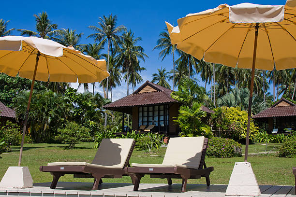 istock Sunbeds and umbrellas by the beach 177336921