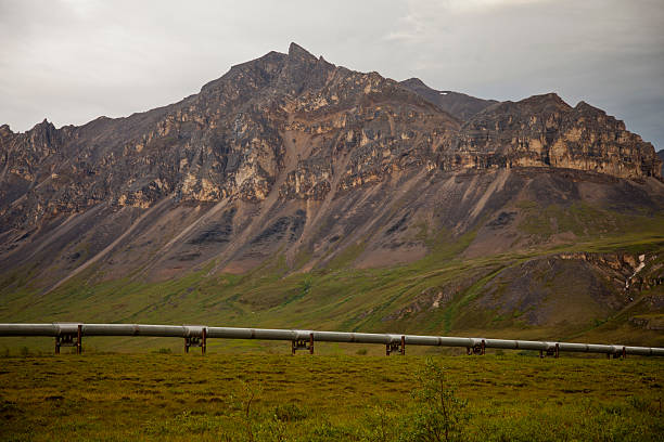 pipeline in alaska stock photo