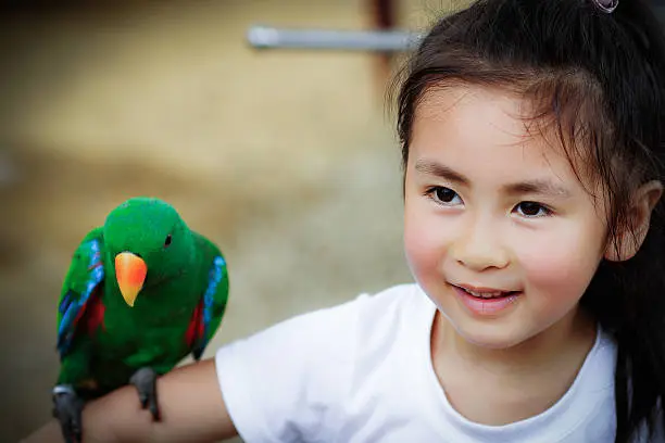 Photo of cute little girl and parrot