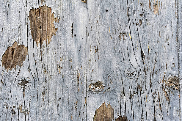 istock Wall of wood for texture 177338129