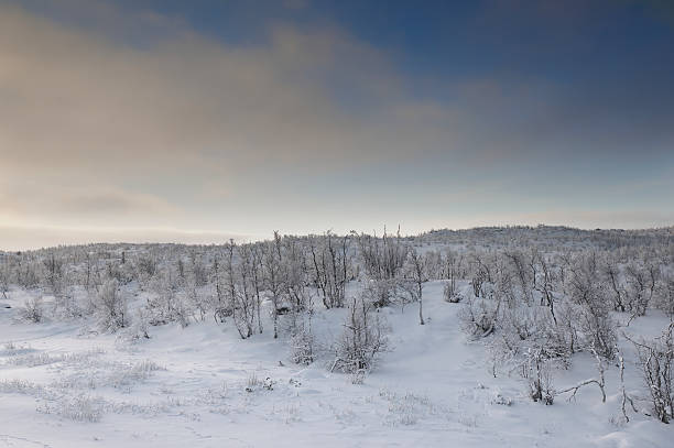 istock Winter afternoon in snow-covered Norwegian mountains 177338407