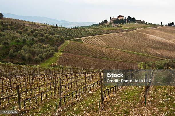 Chianti - zdjęcia stockowe i więcej obrazów Bez ludzi - Bez ludzi, Drzewo, Europa - Lokalizacja geograficzna