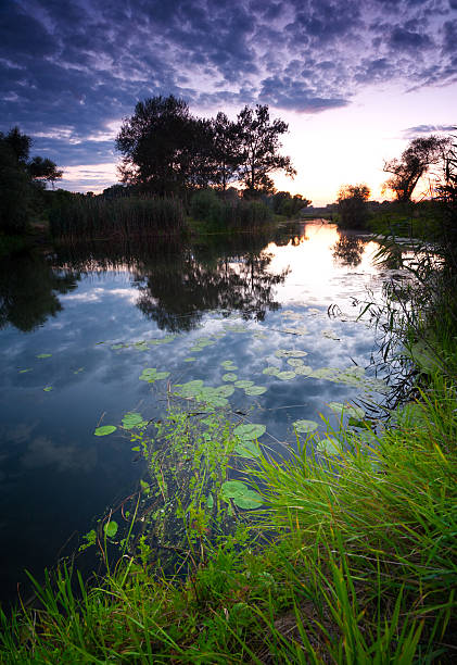 istock July evening by the lake 177339433