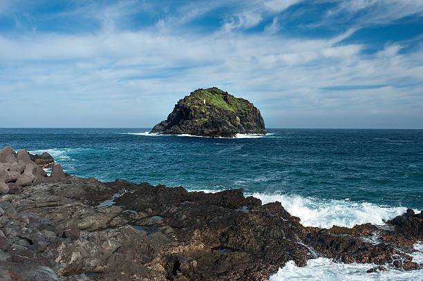 istock View island , sea side in the Canary Islands 177340136