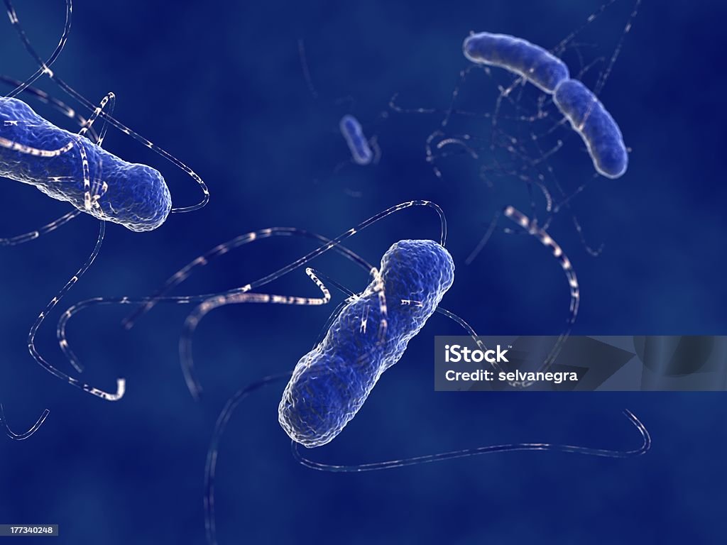 Bactéria Escherichia coli - Royalty-free Anaeróbio - Processo de organismo vivo Foto de stock