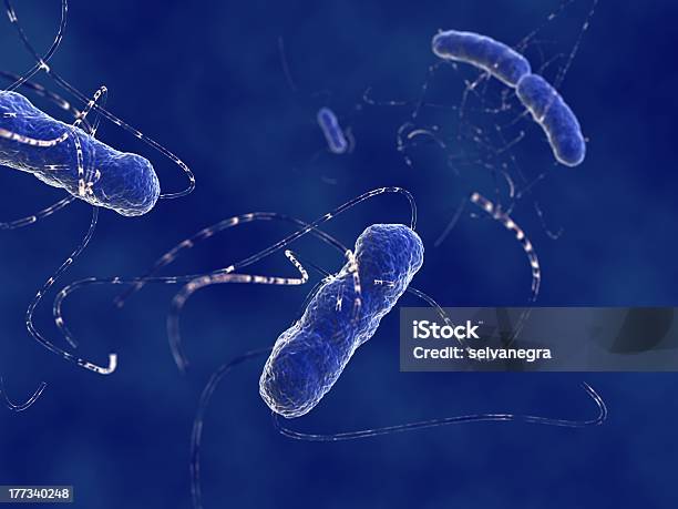 Bactéria Escherichia Coli - Fotografias de stock e mais imagens de Anaeróbio - Processo de organismo vivo - Anaeróbio - Processo de organismo vivo, Bactéria, Enterohemorrágica