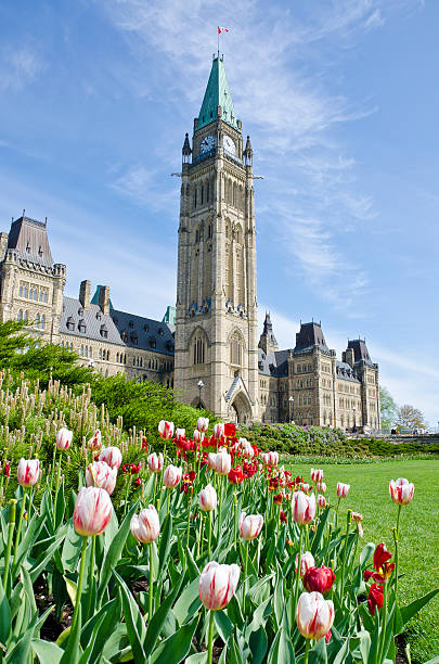 Ottawa Parliament Building and Tulips "Parliament Hill, Ottawa, in springtime." parliament hill ottawa stock pictures, royalty-free photos & images