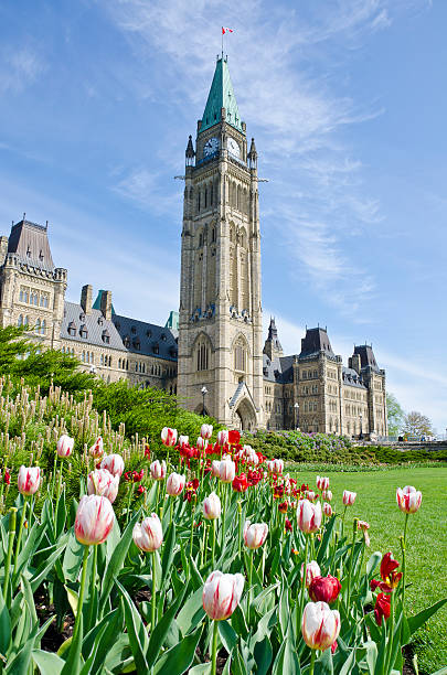 ottawa edifício do parlamento e túlipas - parliament hill imagens e fotografias de stock