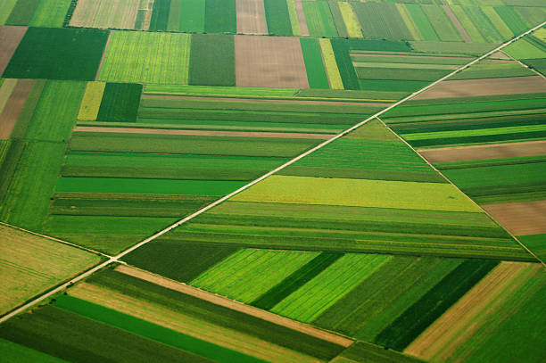 airview de campo - crop farm nature man made - fotografias e filmes do acervo