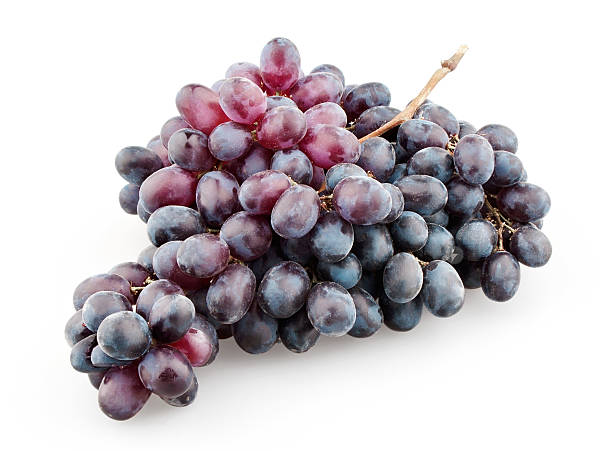 istock Branch of black grapes 177340506