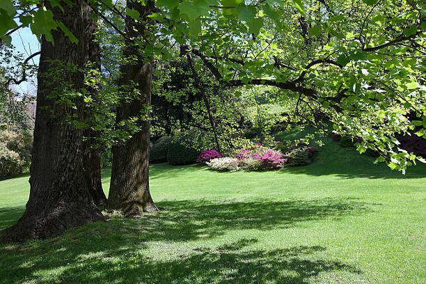 istock garden with trees and green lawn 177340799
