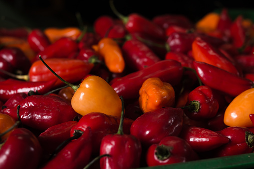 Spicy pepper, red, green, orange at supermarket.
