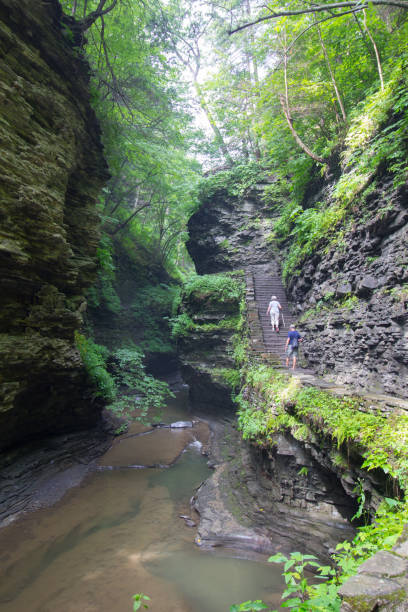 istock Watkins Glen State Park, New York 1773412267