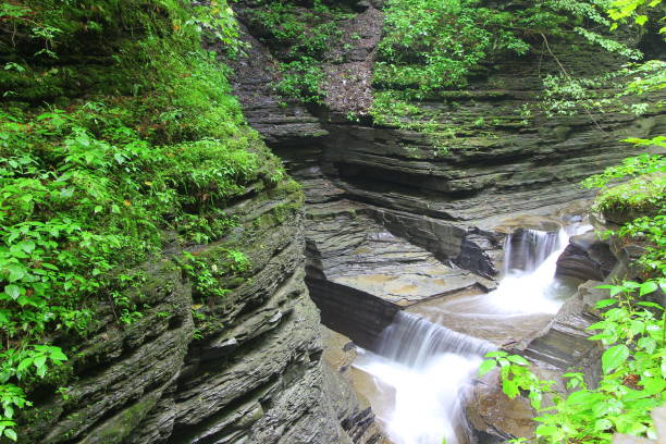 istock Watkins Glen State Park, New York 1773412849