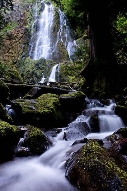 istock Moon Falls Waterfall, Cottage Grove, Oregon 177341481