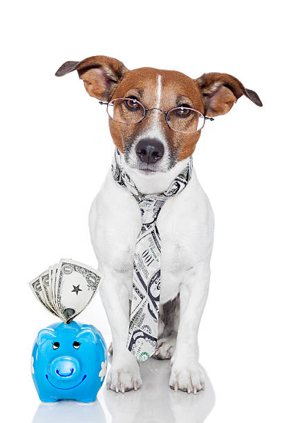 istock dog with piggy bank 177341703