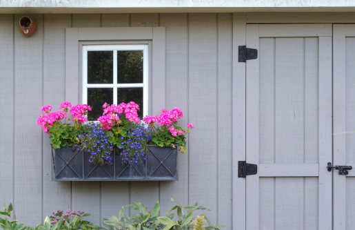 A window box overflowing with purple and pink flowers  in front of a white window on a grey shed. There's room on the right for text.