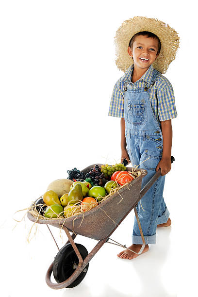 Fruit Farm Boy An adorable young farmer pushing a wheelbarrow full of assorted fruit.  On a white background. indian boy barefoot stock pictures, royalty-free photos & images