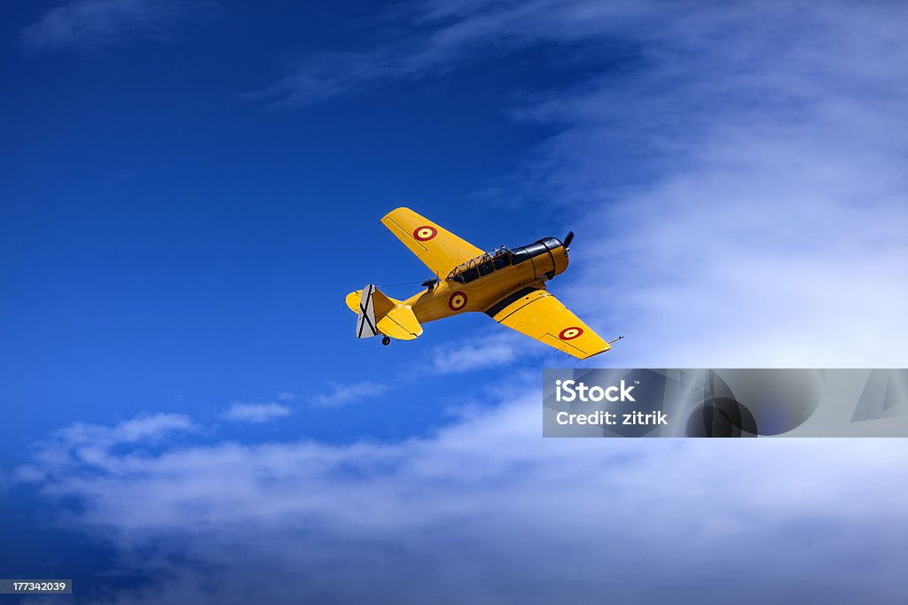 노란색 비행기 - 로열티 프리 Airshow 스톡 사진