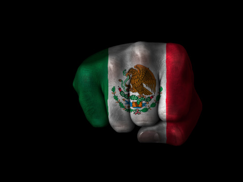 Flag of Mexico painted on closed fist. See other
